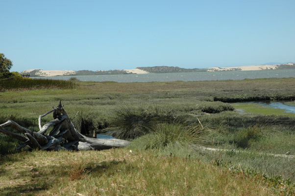 Morro Bay 033.JPG